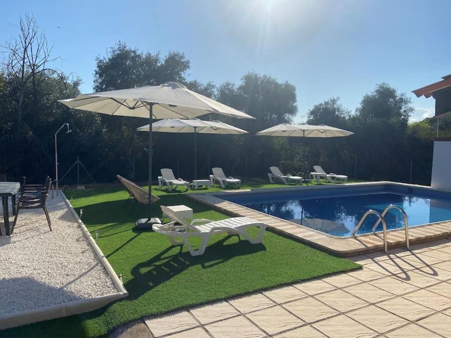 Il Consigliere Holiday home *